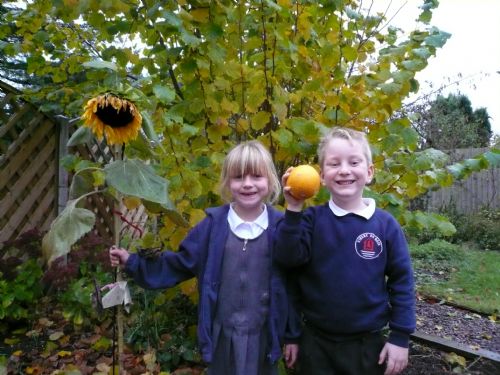 image - Vegetable competition (Nov 12)